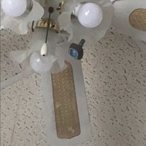 Meet your Posher, Bruce